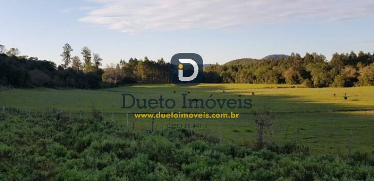 Terreno à Venda, 140.000 m² em Santa Rosa - Jaguari