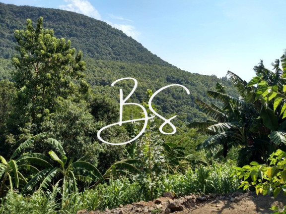 Imagem Imóvel à Venda, 340.000 m² em Linha 28 - Três Coroas Imagem Imóvel à Venda, 340.000 m² em Linha 28 - Três Coroas