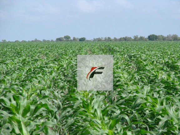 Imagem Fazenda à Venda, 1.210.000 m² em Centro - Mangueirinha Imagem Fazenda à Venda, 1.210.000 m² em Centro - Mangueirinha