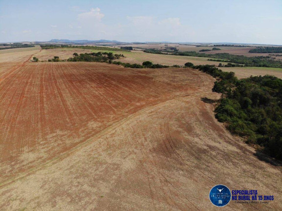 Fazenda à Venda, 200 m² em Zona Rural - Caiapônia