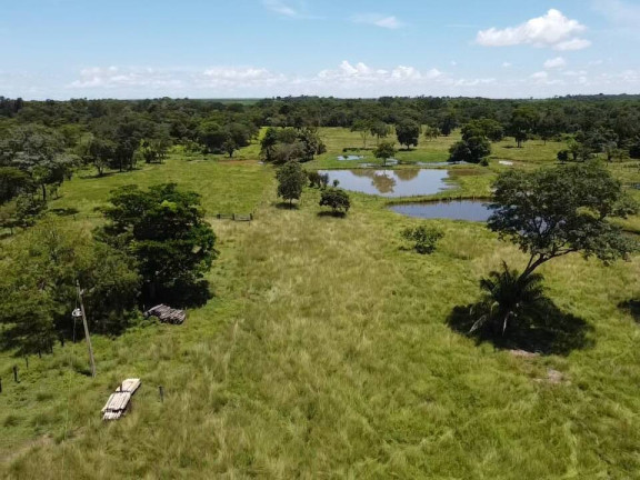 Imagem Chácara à Venda, 30 m² em Tangará Da Serra Imagem Chácara à Venda, 30 m² em Tangará Da Serra