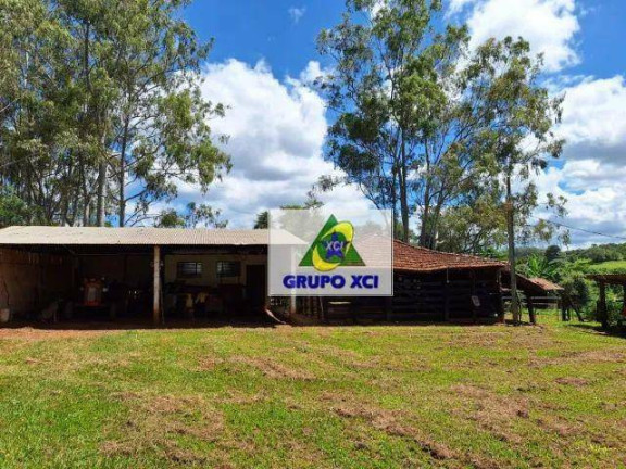 Imagem Fazenda à Venda, 185.000 m² em Zona Rural - Santo Antônio Da Alegria