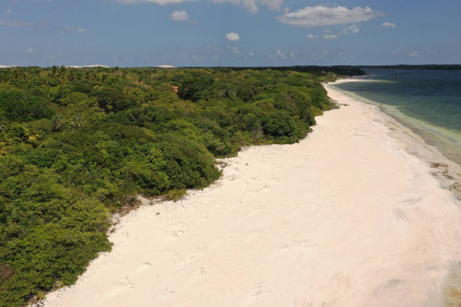 Imagem Terreno à Venda, 30.000 m² em Lagoa Do Paraíso - Jijoca De Jericoacoara Imagem Terreno à Venda, 30.000 m² em Lagoa Do Paraíso - Jijoca De Jericoacoara