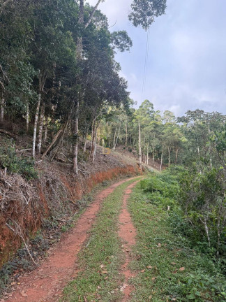 Terreno à Venda, 2.000 m² em Centro - Marechal Floriano