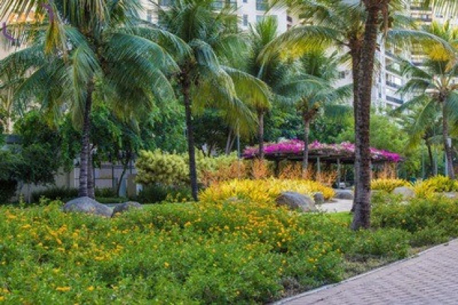 Imagem Imóvel com 4 Quartos à Venda, 229 m² em Barra Da Tijuca - Rio De Janeiro