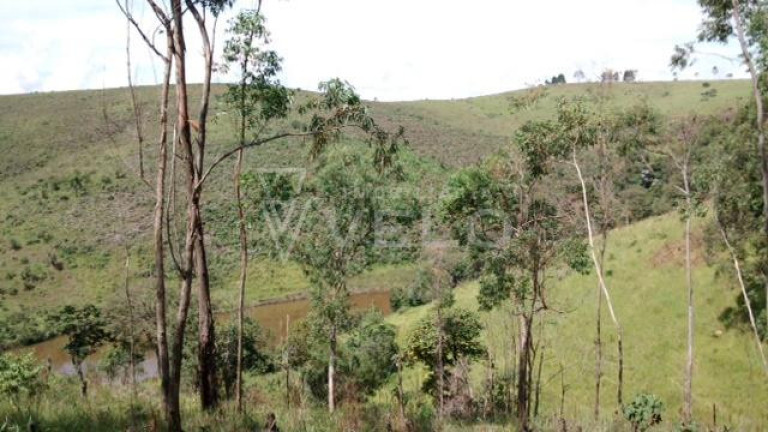Imagem Imóvel à Venda, 950.000 m² em Caioçara - Jarinu Imagem Imóvel à Venda, 950.000 m² em Caioçara - Jarinu
