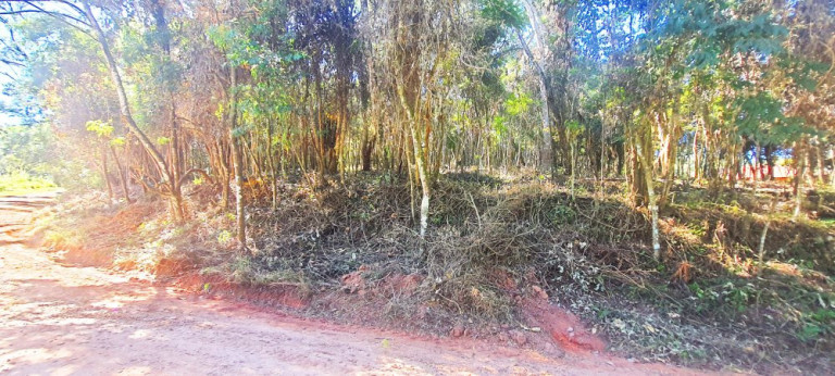 Imagem Imóvel à Venda, 700 m² em Recanto Dos Palmares - Atibaia Imagem Imóvel à Venda, 700 m² em Recanto Dos Palmares - Atibaia