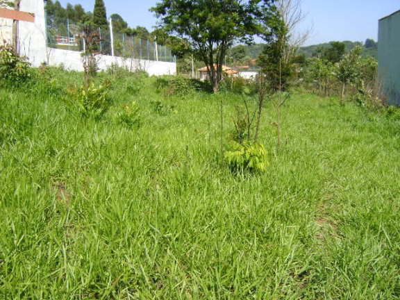 Imagem Terreno à Venda, 250 m² em Mairiporã Imagem Terreno à Venda, 250 m² em Mairiporã