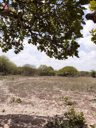 Imagem Fazenda à Venda, 50.000 m² em Centro - João Câmara Imagem Fazenda à Venda, 50.000 m² em Centro - João Câmara