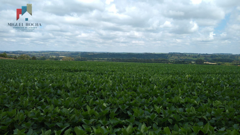 Imagem Imóvel à Venda, 484.000 m² em Enxovia - Tatuí Imagem Imóvel à Venda, 484.000 m² em Enxovia - Tatuí