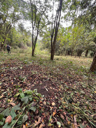 Terreno à Venda, 1.250 m² em Pedras - Itatiaiuçu