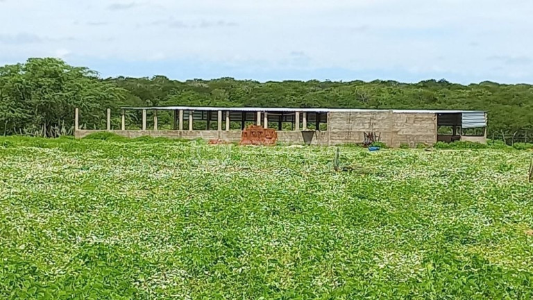 Imagem Fazenda à Venda, 3.000.000 m² em Rural - Jandaíra Imagem Fazenda à Venda, 3.000.000 m² em Rural - Jandaíra