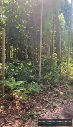 Imagem Terreno à Venda, 750 m² em Trancoso - Porto Seguro Imagem Terreno à Venda, 750 m² em Trancoso - Porto Seguro