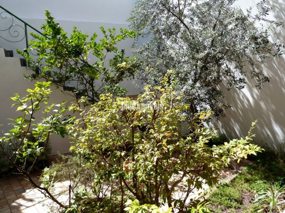 Imagem Casa com 4 Quartos à Venda, 390 m² em Morumbi - São Paulo