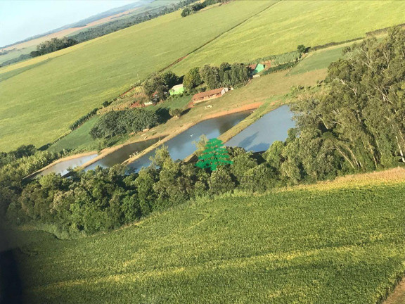 Imagem Chácara à Venda, 27.456 m² em Zona Rural - São Miguel Do Iguaçu Imagem Chácara à Venda, 27.456 m² em Zona Rural - São Miguel Do Iguaçu