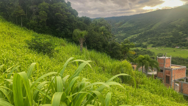 Imagem Terreno à Venda, 1.000 m² em Macacu - Garopaba Imagem Terreno à Venda, 1.000 m² em Macacu - Garopaba