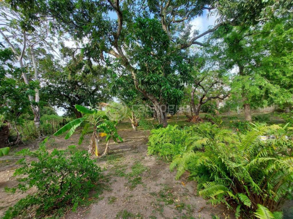 Imagem Fazenda à Venda, 2.000 m² em Zona Rural - São José De Mipibu Imagem Fazenda à Venda, 2.000 m² em Zona Rural - São José De Mipibu