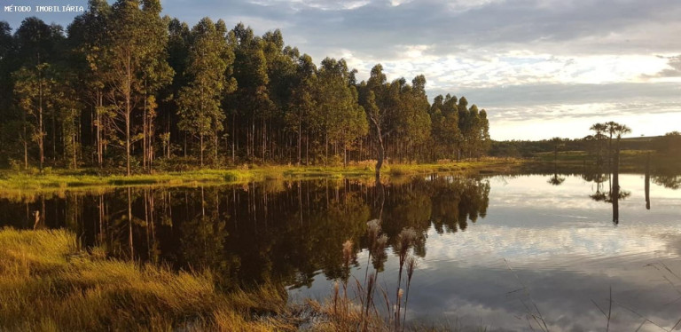 Imagem Fazenda à Venda, 4.405 m² em Rural - Mineiros Imagem Fazenda à Venda, 4.405 m² em Rural - Mineiros