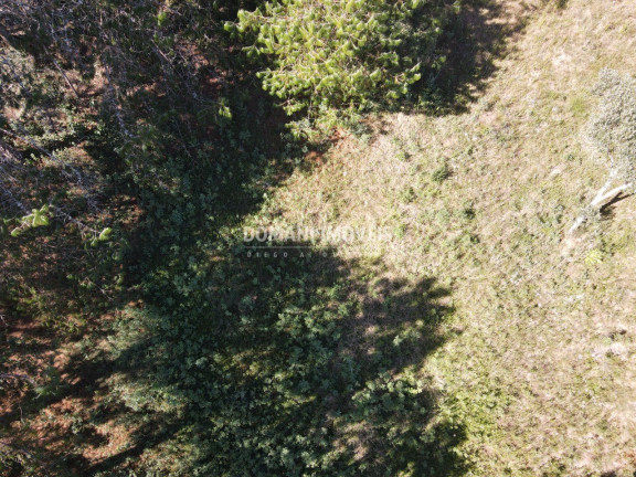 Imagem Terreno à Venda, 1.215 m² em Região Do Alto Da Boa Vista - Campos Do Jordão Imagem Terreno à Venda, 1.215 m² em Região Do Alto Da Boa Vista - Campos Do Jordão