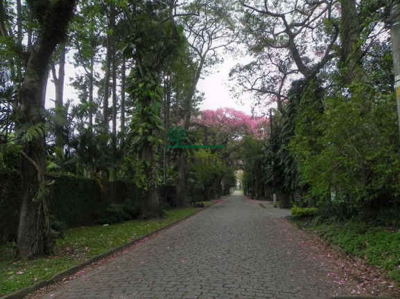 Imagem Casa com 3 Quartos à Venda, 339 m² em Bosque Do Vianna - Cotia Imagem Casa com 3 Quartos à Venda, 339 m² em Bosque Do Vianna - Cotia