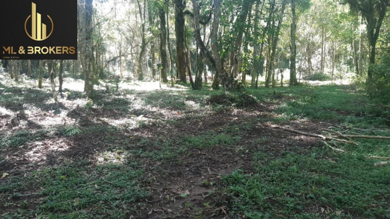 Imagem Imóvel à Venda, 20.000 m² em Quitandinha - Quitandinha Imagem Imóvel à Venda, 20.000 m² em Quitandinha - Quitandinha