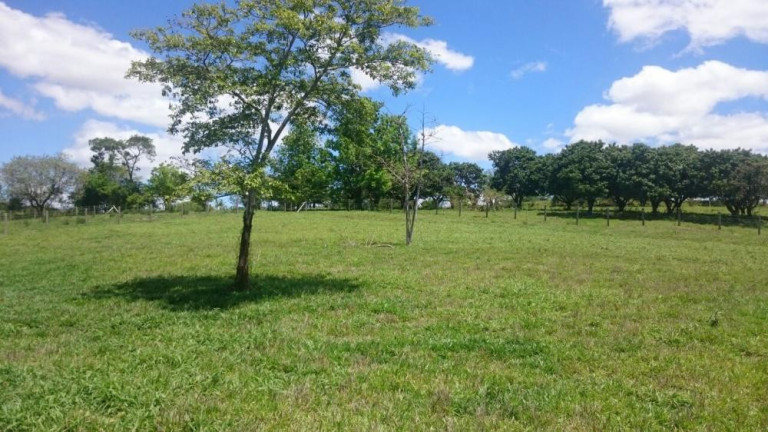 Imagem Imóvel à Venda, 300 m² em Tanquinho - Tatuí Imagem Imóvel à Venda, 300 m² em Tanquinho - Tatuí