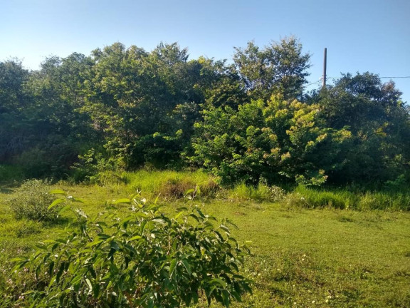 Imagem Imóvel à Venda, 874 m² em Palmeiras - Guaraparia Imagem Imóvel à Venda, 874 m² em Palmeiras - Guaraparia