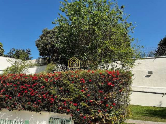 Imagem Casa com 4 Quartos para Alugar, 1.369 m² em Anchieta - São Bernardo Do Campo Imagem Casa com 4 Quartos para Alugar, 1.369 m² em Anchieta - São Bernardo Do Campo