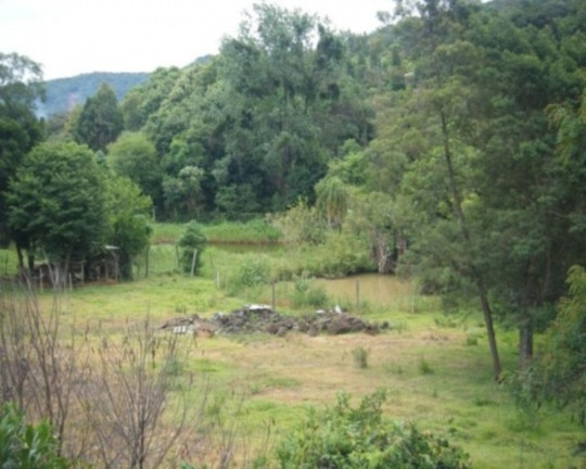 Imagem Terreno à Venda, 6.467 m² em Piá - Nova Petrópolis Imagem Terreno à Venda, 6.467 m² em Piá - Nova Petrópolis