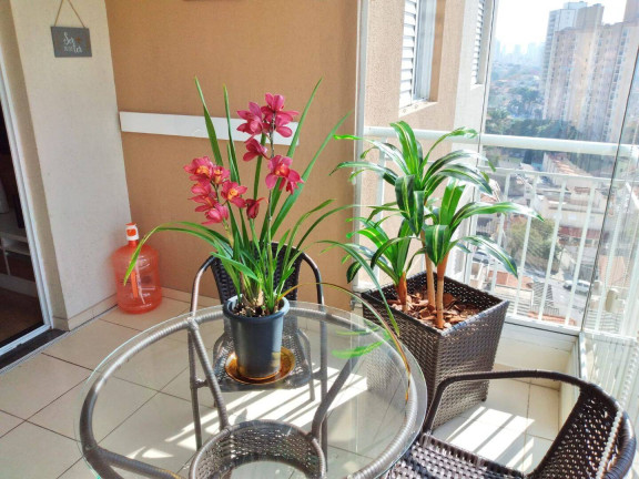Imagem Apartamento com 3 Quartos à Venda, 80 m² em Vila Das Mercês - São Paulo