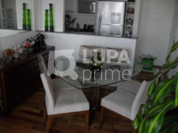Apartamento com 3 Quartos à Venda, 63 m² em Vila Guilherme - São Paulo