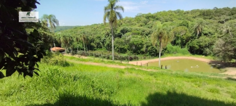 Imagem Chácara com 2 Quartos à Venda, 15.000 m² em Sebandilha - Mairinque