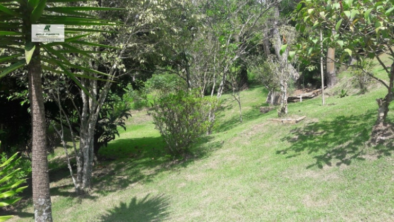 Imagem Chácara com 3 Quartos à Venda, 18.000 m² em Mailasqui - São Roque Imagem Chácara com 3 Quartos à Venda, 18.000 m² em Mailasqui - São Roque