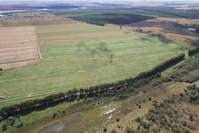 Imagem Fazenda à Venda, 125 m² em Zona Rural - Sud Mennucci Imagem Fazenda à Venda, 125 m² em Zona Rural - Sud Mennucci