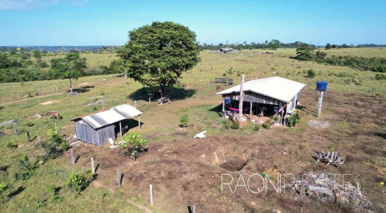 Imagem Fazenda à Venda, 4.300.000 m² em Centro - Pimenta Bueno Imagem Fazenda à Venda, 4.300.000 m² em Centro - Pimenta Bueno