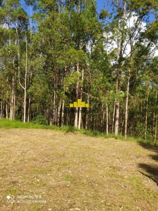 Imagem Chácara à Venda, 25 m² em Rural - Pilar Do Sul