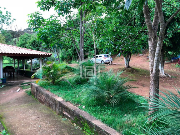 Imagem Imóvel com 2 Quartos à Venda, 1 m² em Correias (rural) - Bandeira Do Sul