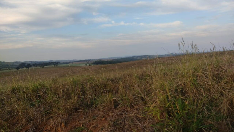 Imagem Fazenda à Venda, 314 m² em Morro Alto - Itapetininga Imagem Fazenda à Venda, 314 m² em Morro Alto - Itapetininga
