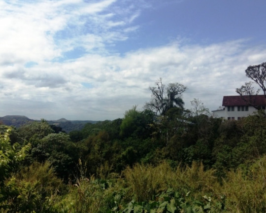 Imagem Imóvel à Venda, 7.477 m² em Vila Olinda - Nova Petrópolis