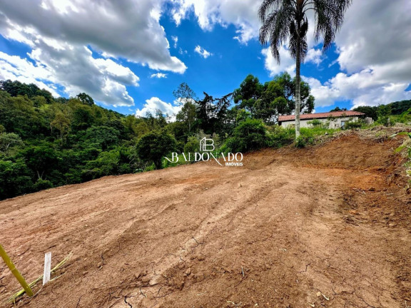 Imagem Terreno à Venda, 1.500 m² em Centro - Toledo