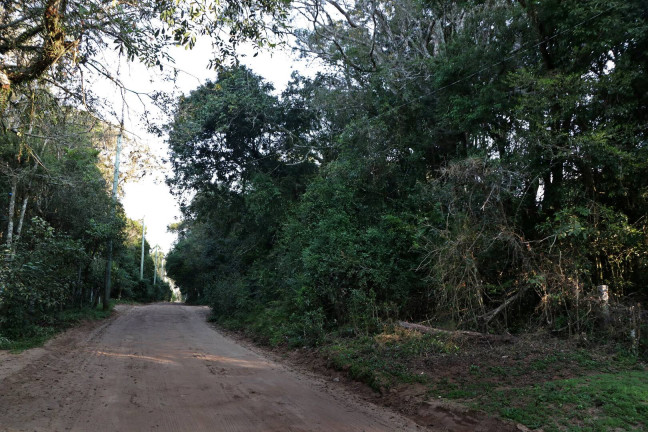 Imagem Terreno à Venda, 1.350 m² em águas Claras - Viamão Imagem Terreno à Venda, 1.350 m² em águas Claras - Viamão