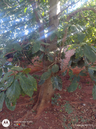 Imagem Imóvel com 2 Quartos à Venda, 2.000 m² em Bairro Dos Fragas - Tatuí Imagem Imóvel com 2 Quartos à Venda, 2.000 m² em Bairro Dos Fragas - Tatuí