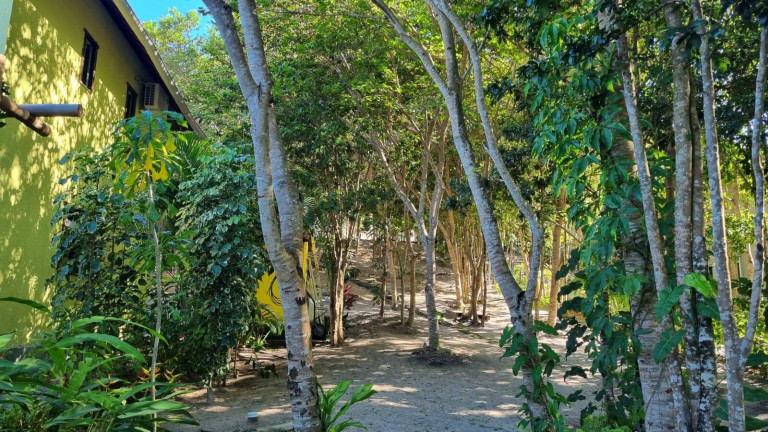 Imagem Casa com 3 Quartos à Venda, 1 m² em Praia Da Pipa - Tibau Do Sul