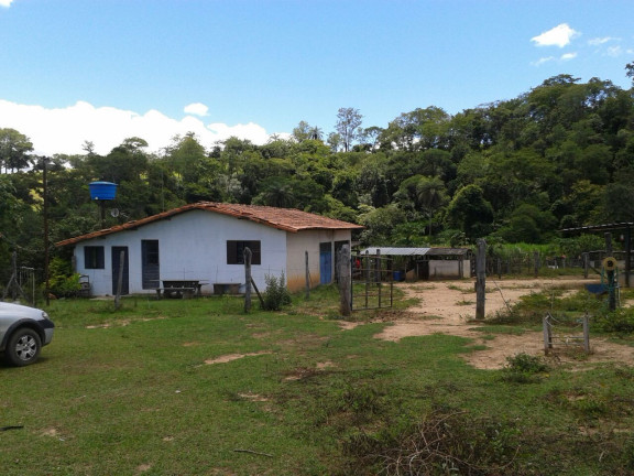 Imagem Imóvel com 3 Quartos à Venda, 1.000 m² em Zona Rural - Baldim