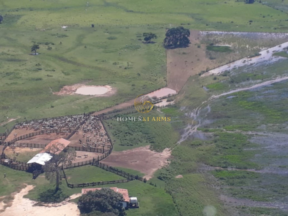 Imagem Imóvel com 3 Quartos à Venda, 88.000 m² em Zona Rural - Poconé Imagem Imóvel com 3 Quartos à Venda, 88.000 m² em Zona Rural - Poconé
