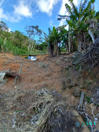 Imagem Terreno à Venda, 4.275 m² em Praia Grande - Ilhabela Imagem Terreno à Venda, 4.275 m² em Praia Grande - Ilhabela