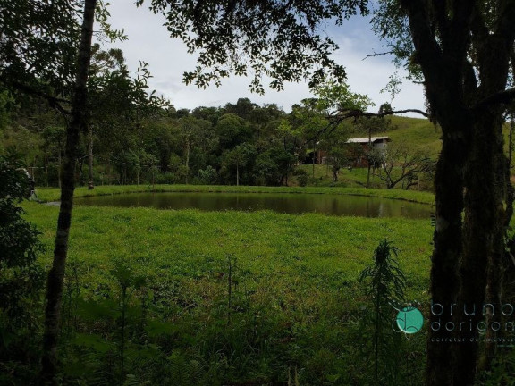 Imagem Imóvel com 3 Quartos à Venda, 350.000 m² em Zona Rural - Bom Retiro