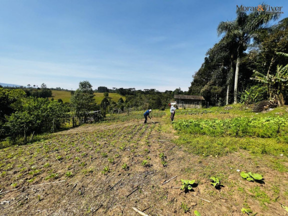 Imagem Chácara à Venda, 6.300 m² em Zona Rural - Tijucas Do Sul Imagem Chácara à Venda, 6.300 m² em Zona Rural - Tijucas Do Sul