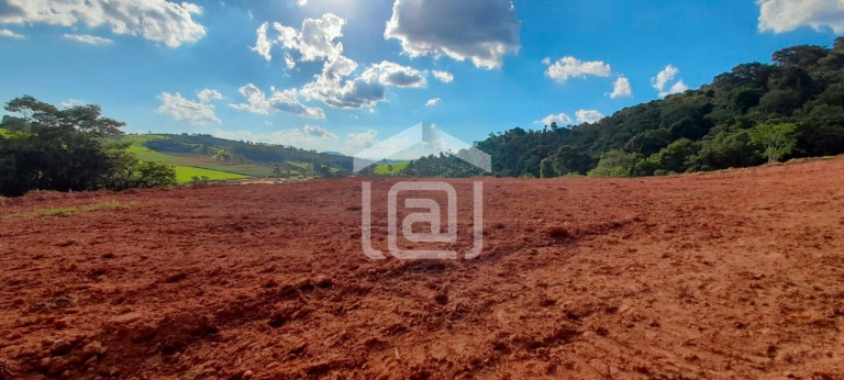 Imagem Imóvel com 1 Quarto à Venda, 44.000 m² em Roseira - Bandeira Do Sul