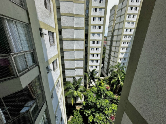 Imagem Apartamento com 3 Quartos à Venda, 74 m² em Jardim Marajoara - São Paulo Imagem Apartamento com 3 Quartos à Venda, 74 m² em Jardim Marajoara - São Paulo